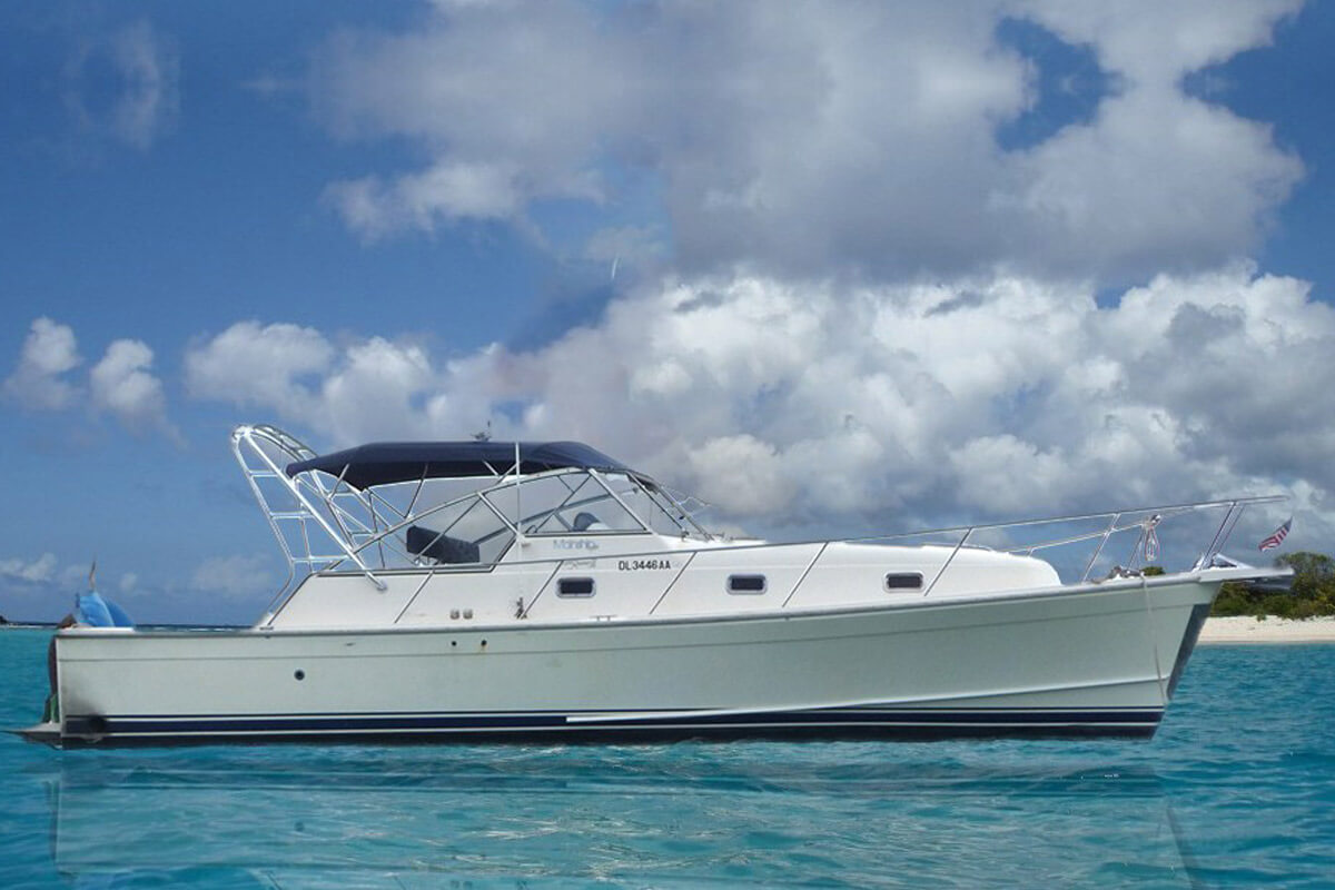 Seahorse Water Taxi - Modern Lux