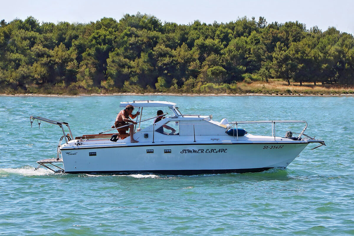 Seahorse Water Taxi - Summer Escape